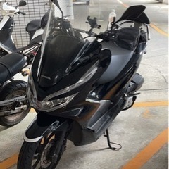 PCX JF81 まだあります