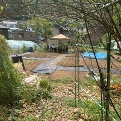 高見山農園　畑利用者募集 - その他