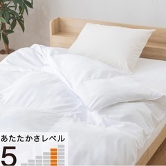ニトリ‼️クイーンサイズの掛け布団