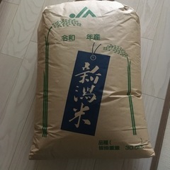 令和4年度玄米です【売れ切れました】