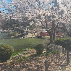 年末年始　稼ぎませんか？多摩川