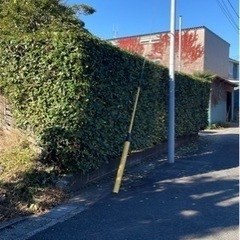 お庭手入れしませんか？