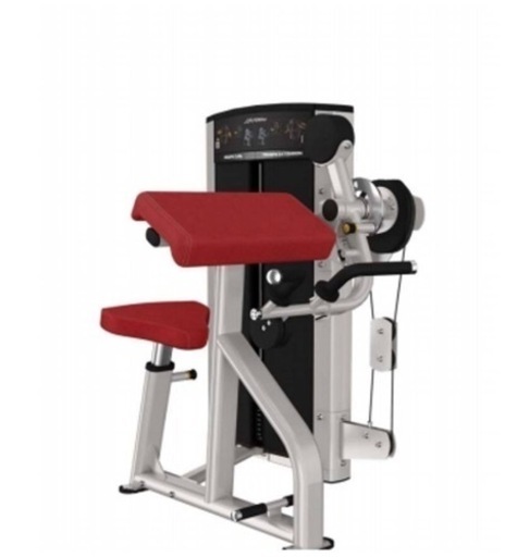 バイセップス・カール/トライセップス・エクステンション(値引き価格10月末まで)