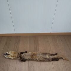 テン マフラーの画像