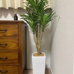人工観葉植物　ユッカ
