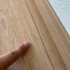 急募！柏市、松戸市、流山市、リペア作業スタッフ募集中です！の画像