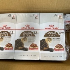 完売。シニア ロイヤルカナン ROYAL CANIN エイジング...
