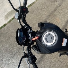 在庫有！z125 pro ほぼ新車!（更新3/3の画像