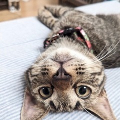 甘えん坊の男の子