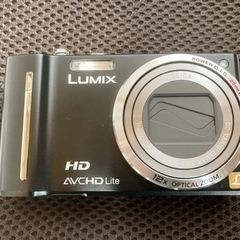 今流行りのデジカメ(Panasonic)