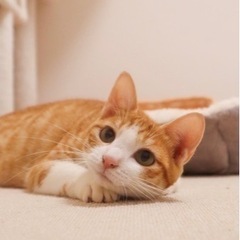 ママとちゃちゃまる一緒に家族が決まりました