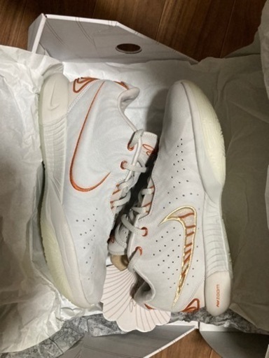 レブロン 21 アコヤ