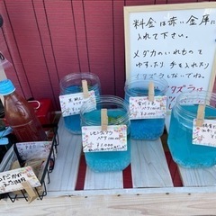 【小さなメダカ無人販売所】改良メダカ、PSB、メダカMIXの画像