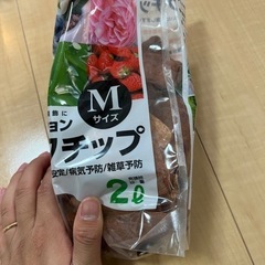 コバエシャッター中　2個　ゼリーカッター　針葉樹ペレット　バークチップの画像