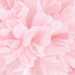 フリーランスに興味ある 🦋.*˚女性限定:オンラインコミュニティ...