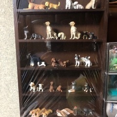 応募で当たった景品