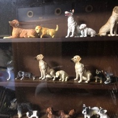 応募で当たった景品の画像