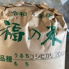 玄米（古米）令和4年産