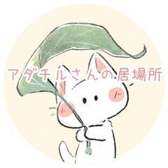 11/5(日)　アダチルさんの居場所