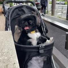 ITエンジニア募集 - 渋谷区
