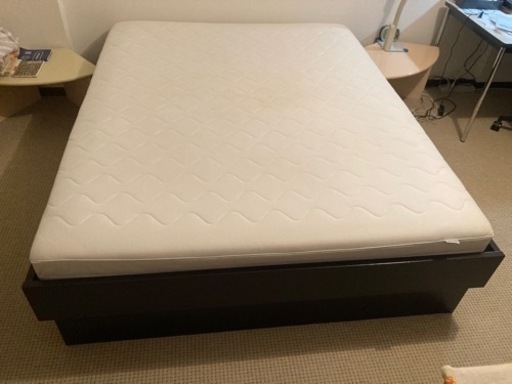 クイーンベット