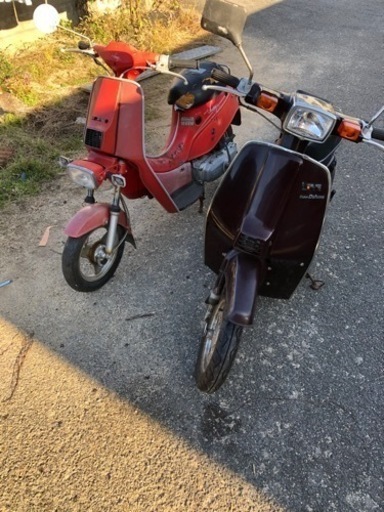 スズキラブとオマケのスワニー値下げ