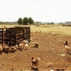 時給3500円‼️ 重機オペレーター案件　フォークリフトの画像