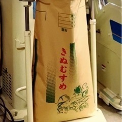 令和5年度☆きぬむすめ☆1等米♡お試し10kg♡