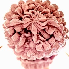 ケア　キャップ　医療用　帽子　普段使いﾟ.ヽ(*´∀｀*)ﾉ.ﾟ｡の画像