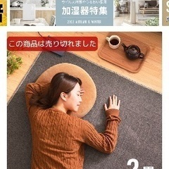美品　2畳ホットカーペット