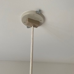 蛍光灯洋風ペンダントの画像