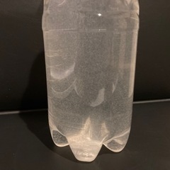 【10軒⭐︎御礼】🐟ゾウリムシ（500ml/  900ml / ...
