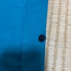 キャンプ用エアーマットの画像