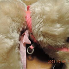 愛犬用首輪まとめて　試着や色見本にの画像