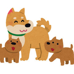 10月9日 東京都品川区 犬の譲渡会