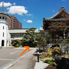 お寺でヨガ＠雲雷寺✨の画像