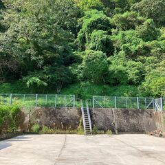 【日南市山林と平地200万】★山と平地のセット販売★山と平地が隣...