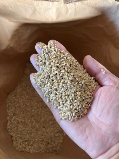 【飼料米】小米53kg（令和6年度産）