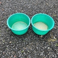 漬物桶(蓋付き)   緑桶　漬物石　差し上げますの画像