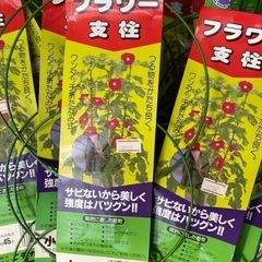 【売り切り】フラワー支柱小【月末終了】の画像
