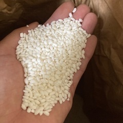 令和4年度産餅米精米済み　キロ指定可能