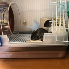 うさぎ用ケージ※1匹専用