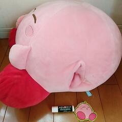 カーヴィのでかいぬいぐるみの画像