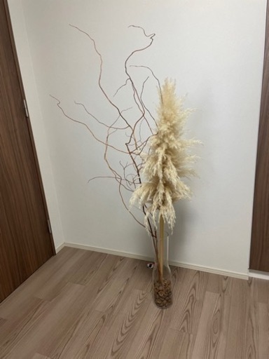 【ザ　ガーデン】観葉植物