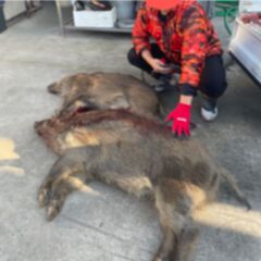 狩猟グループメンバー募集中