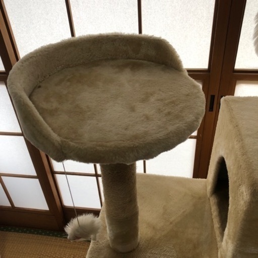 キャットタワー