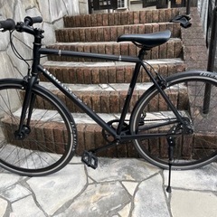 シングルスピード SCWINN CUTTER(再募集)