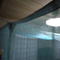 ジャンク品　旭化成 蚊帳 サラン（昭和レトロ）の画像