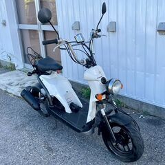 ★ホンダ バイト★AF59 原付 スクーター 検) Bite 50ccの画像
