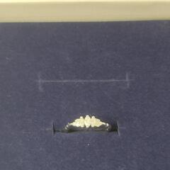 プラチナ900 天然ダイヤモンドリングの画像